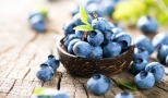 التوت الأزرق يعتبر مادة مادة غذائية غنية احرص عليها لهذه الأسباب